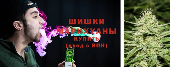 стаф Ельня