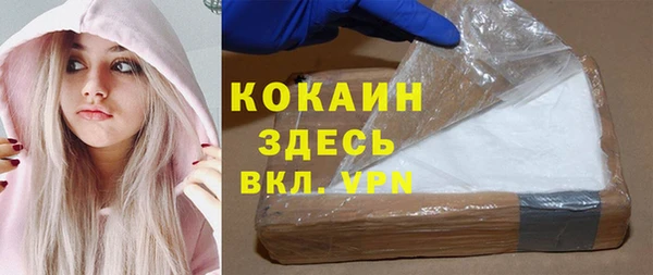 прущие грибы Елизово