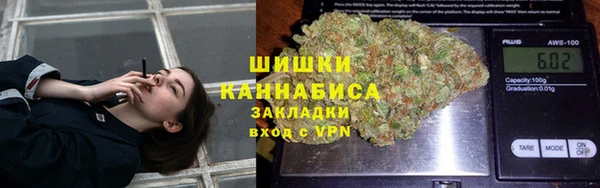 стаф Ельня