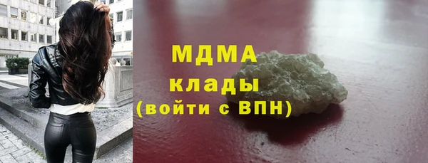 прущие грибы Елизово