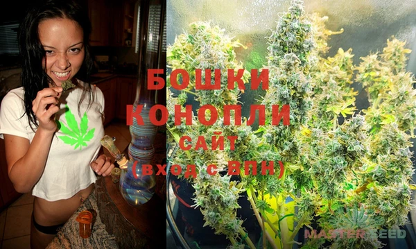 стаф Ельня