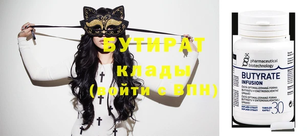 стаф Ельня