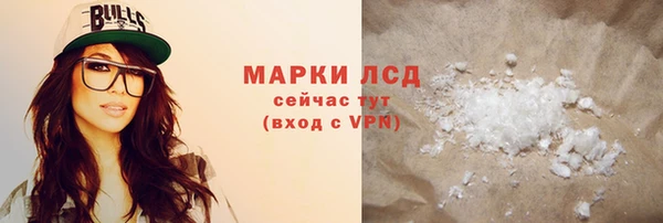 стаф Ельня