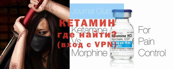 прущие грибы Елизово