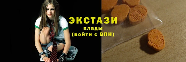 стаф Ельня