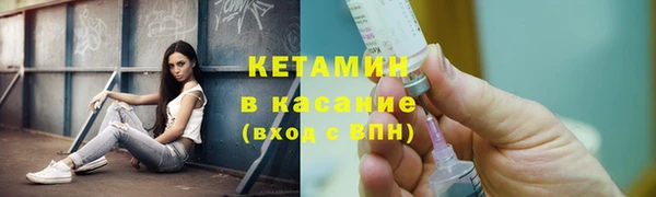 прущие грибы Елизово