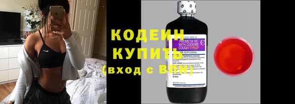 прущие грибы Елизово