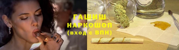 стаф Ельня