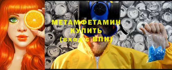 стаф Ельня