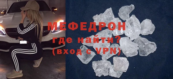 стаф Ельня