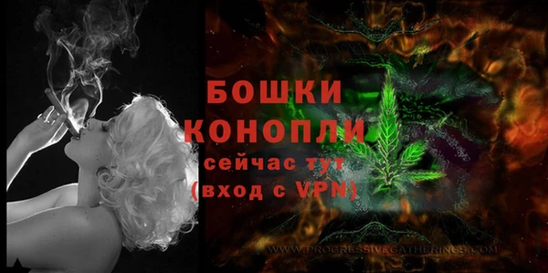 прущие грибы Елизово