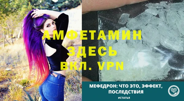 стаф Ельня