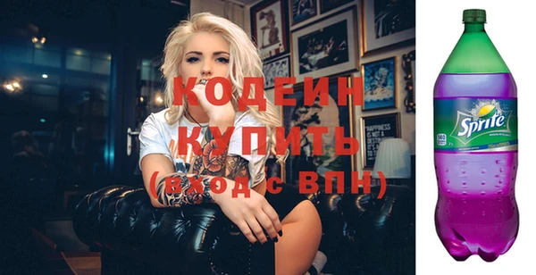 стаф Ельня