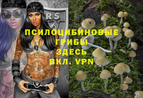 прущие грибы Елизово