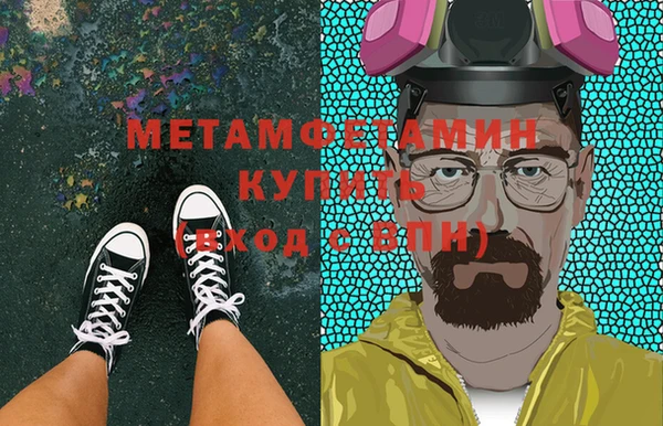 прущие грибы Елизово