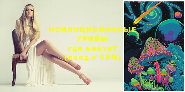 прущие грибы Елизово