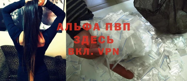 прущие грибы Елизово