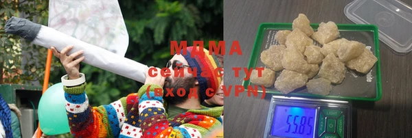 стаф Ельня