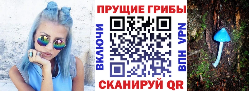 Купить где  Ворсма  Галлюциногенные грибы прущие грибы 